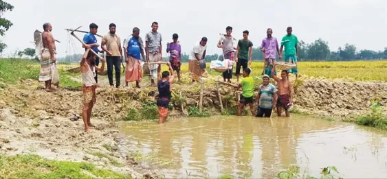 রাণীনগরে নদীর পানি বৃদ্ধিতে তলিয়ে যাচ্ছে ফসল