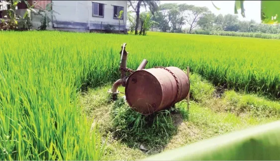 মাগুরায় জ্বালানি সংকটে সেচ কাজ ব্যাহত