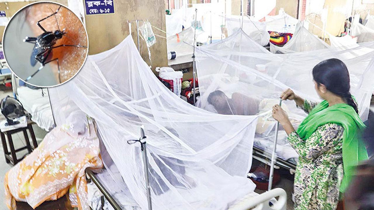 ডেঙ্গুর ভয়াবহতা ১৮ দিনে ৪৫ মৃত্যু